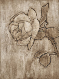 Rose 4 by Sari Davidson at Oehme Graphics