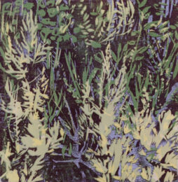 Sage by Hollis Moore at Oehme Graphics