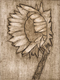 Sunflower 2 by Sari Davidson at Oehme Graphics