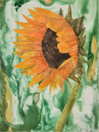 Sunflower 3 by Sari Davidson at Oehme Graphics