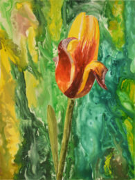 Yellow Tulip 3 by Sari Davidson at Oehme Graphics