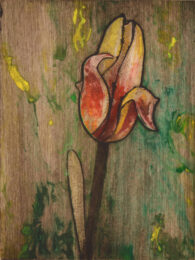 Yellow Tulip 4 by Sari Davidson at Oehme Graphics