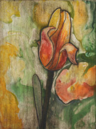 Yellow Tulip 5 by Sari Davidson at Oehme Graphics