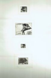 ‘Sanglier’, ‘Sangliers I’, ‘Sangliers II’, ‘Sangliers III by Brigitte Coudrain at Editions Graphiques Ltd