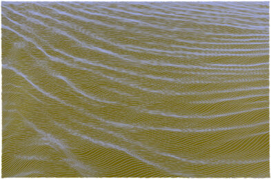 Crepe de Chine II by Ann Aspinwall at Aspinwall Editions