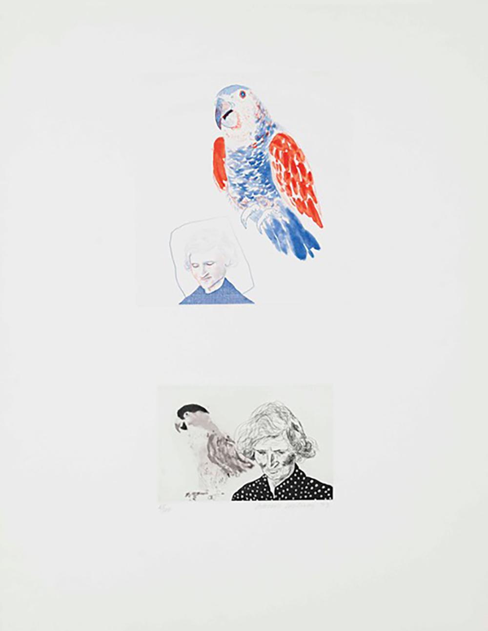 My mother with parrot by David Hockney