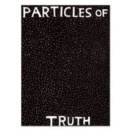 Particles of Truth by David Shrigley at MLTPL