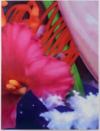 Portraits of Landscapes 5 by Marc Quinn at Leslie Sacks Gallery