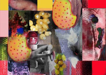 The Fruits of the Field, Ashmeads Kernal by David Ferry at Wetpaint Gallery