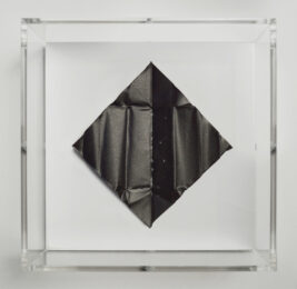 The Release – Deep Black by Mat Collishaw at Paul Stolper Gallery
