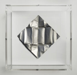 The Release – Silver Dollar by Mat Collishaw at Paul Stolper Gallery