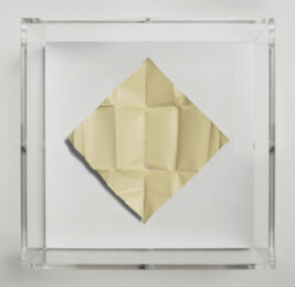 The Release – Vanilla by Mat Collishaw at Paul Stolper Gallery