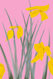 Yellow Flags 3 by Alex Katz at Vogtle Contemporary