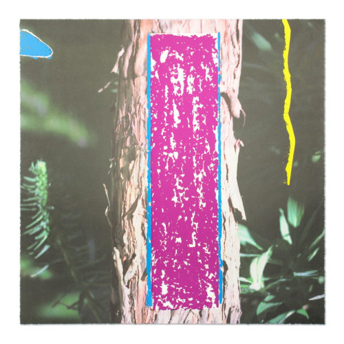 Tree by John Baldessari at