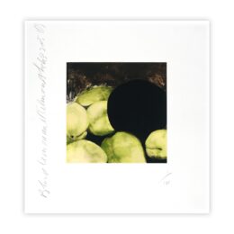 Black Lemons and Almonds by Donald Sultan at InvesArt Gallery