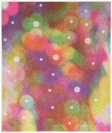 Circles Of Confusion by James Rosenquist at Robert Fontaine Gallery