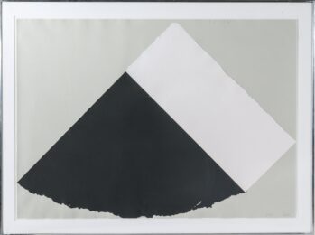 Dark Gray and White by Ellsworth Kelly at Gregg Shienbaum Fine Art