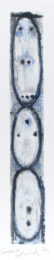 Snowman V by Katherine Bowling at Oehme Graphics
