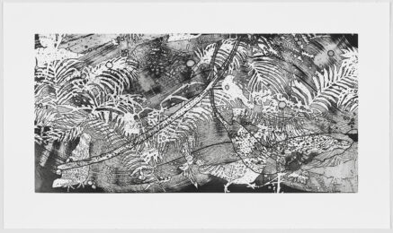 Tempest by Elisabeth Condon at Graphicstudio
