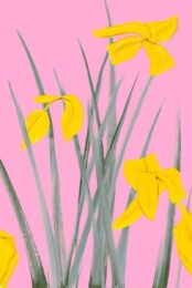 Yellow Flags 3 by Alex Katz at Gregg Shienbaum Fine Art