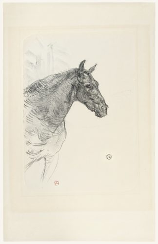 Le Poney Philibert by Henri de Toulouse-Lautrec at