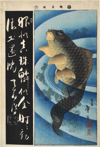 Carp (koi harimaze) by Katsushika Taito II at