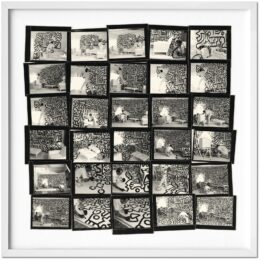 Art Edition by Annie Leibovitz at Taschen