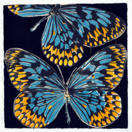Butterflies by Donald Sultan at Maune Contemporary