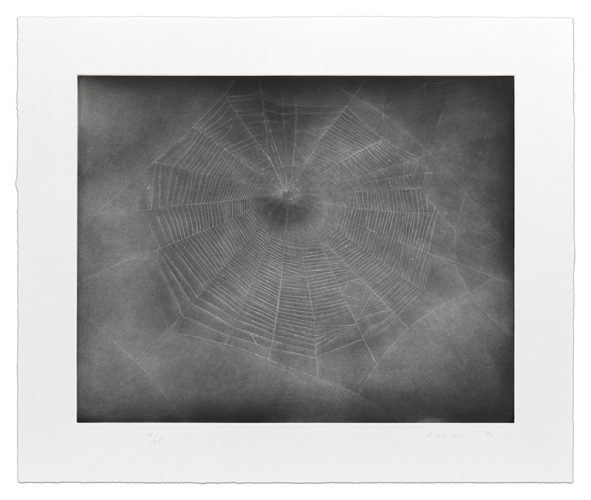 Untitled (Web 3) by Vija Celmins