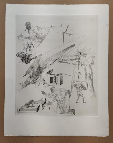 Cranes Mous et Harpe Cranienne by Salvador Dali