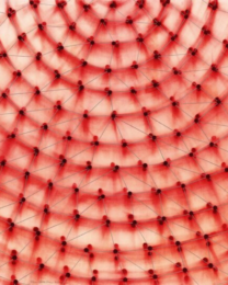 Dome (Red) by Ross Bleckner at Maune Contemporary