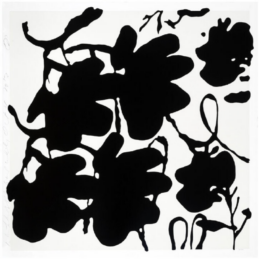 Lantern Flowers, Black And White by Donald Sultan at Maune Contemporary