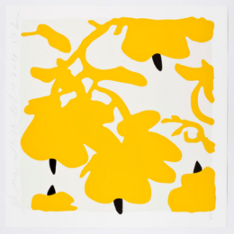 Lantern Flowers, Yellow And White by Donald Sultan at Maune Contemporary