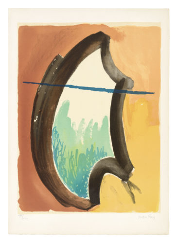 De l’Origine des especes par voie de selection irrationnelle (I) by Man Ray