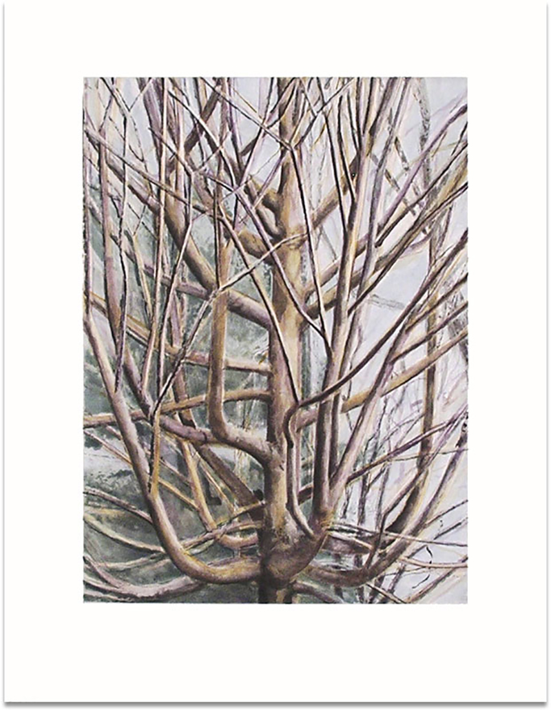 The Maple Tree by Sylvia Plimack Mangold
