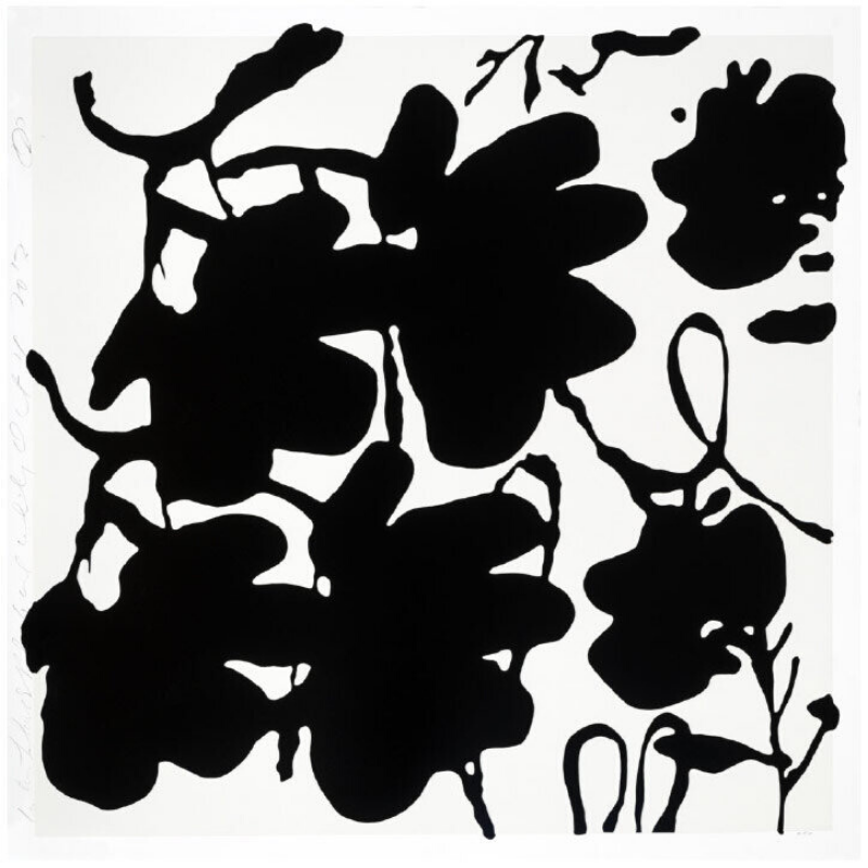 Lantern Flowers, Black And White by Donald Sultan