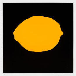 Yellow Lemon On Black by Donald Sultan at Maune Contemporary