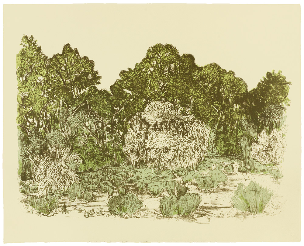 Circle of Sage and Cottonwood by Nancy Friese
