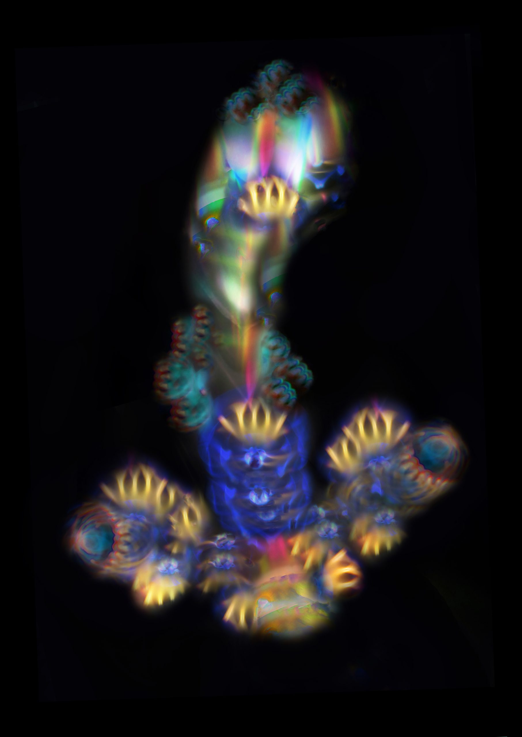 Floating Canker by Gary Justis