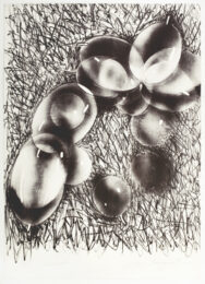 Bunraku by James Rosenquist at Petersburg Press