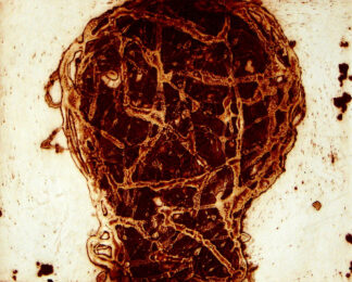 Carborundum Head III by Peter Griffin at Kip Gresham Editions