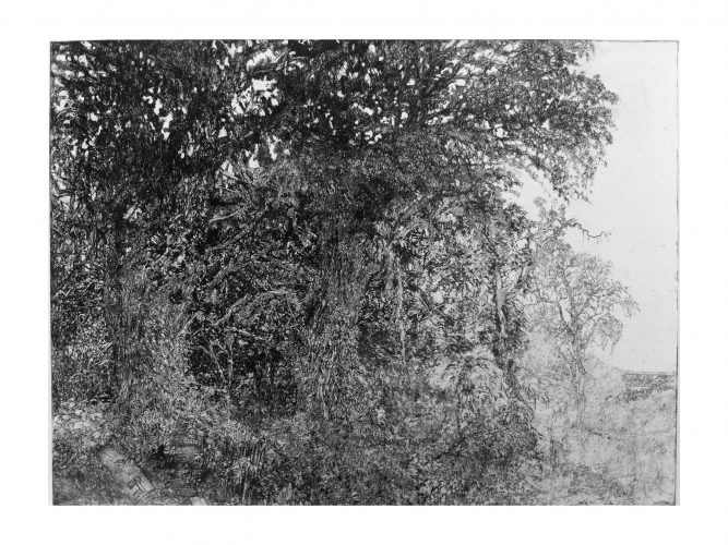 The Thrasher Place by John Cobb at