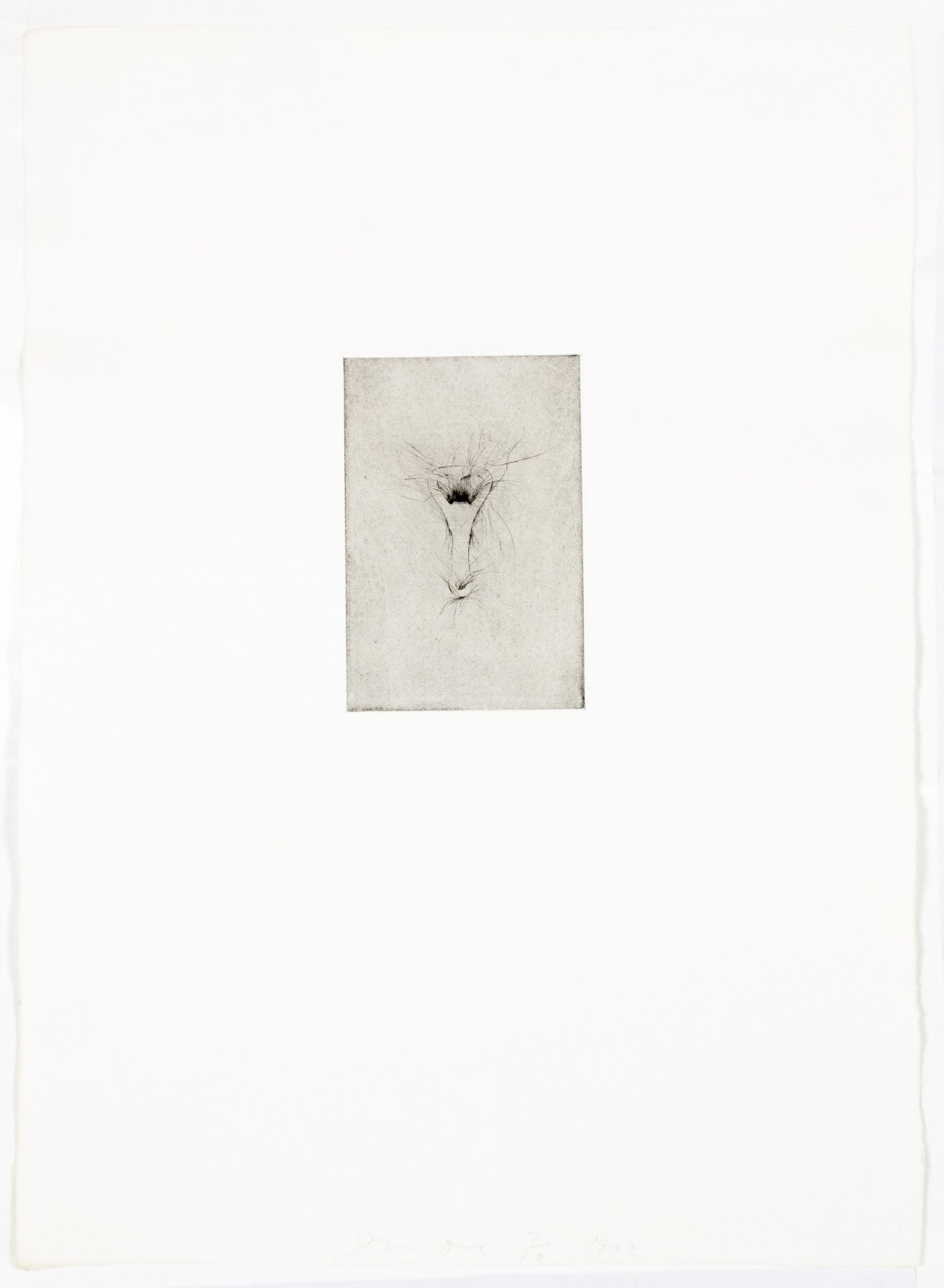 Tool Drypoint: Bottle opener by Jim Dine