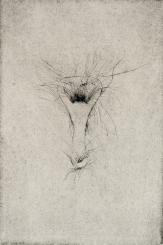 Tool Drypoint: Bottle opener by Jim Dine