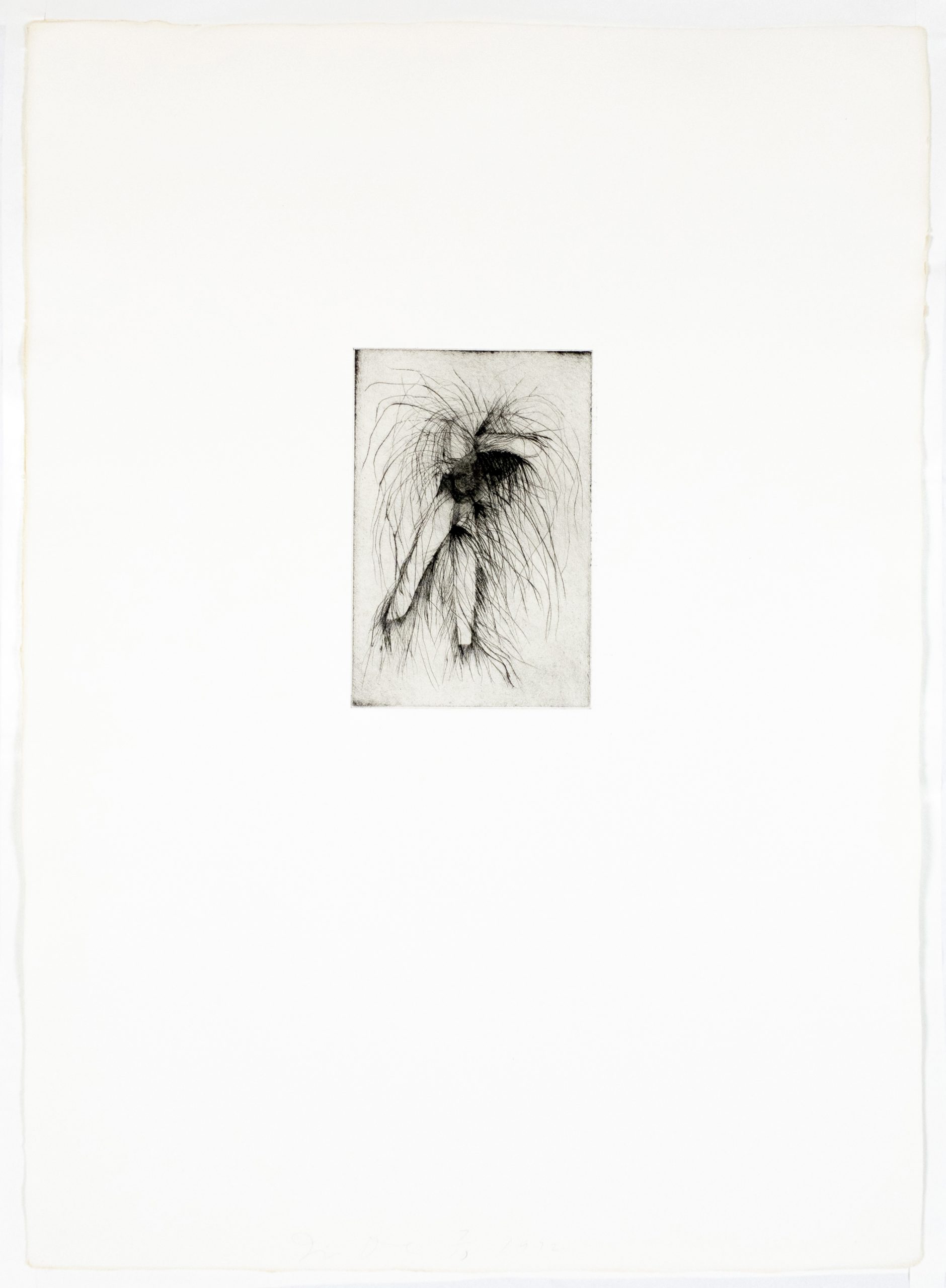 Tool Drypoint: Wrench by Jim Dine