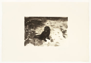 Dog by Michele Zalopany at Petersburg Press