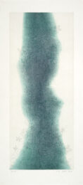 Glacial Ghost with Fossil  Flowers by Liz Ward at Flatbed Press and Gallery