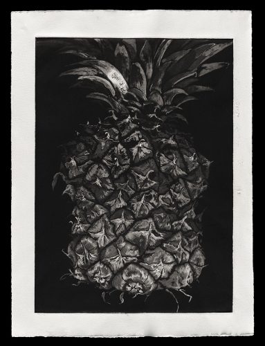 Untitled by Julia Goeldi at