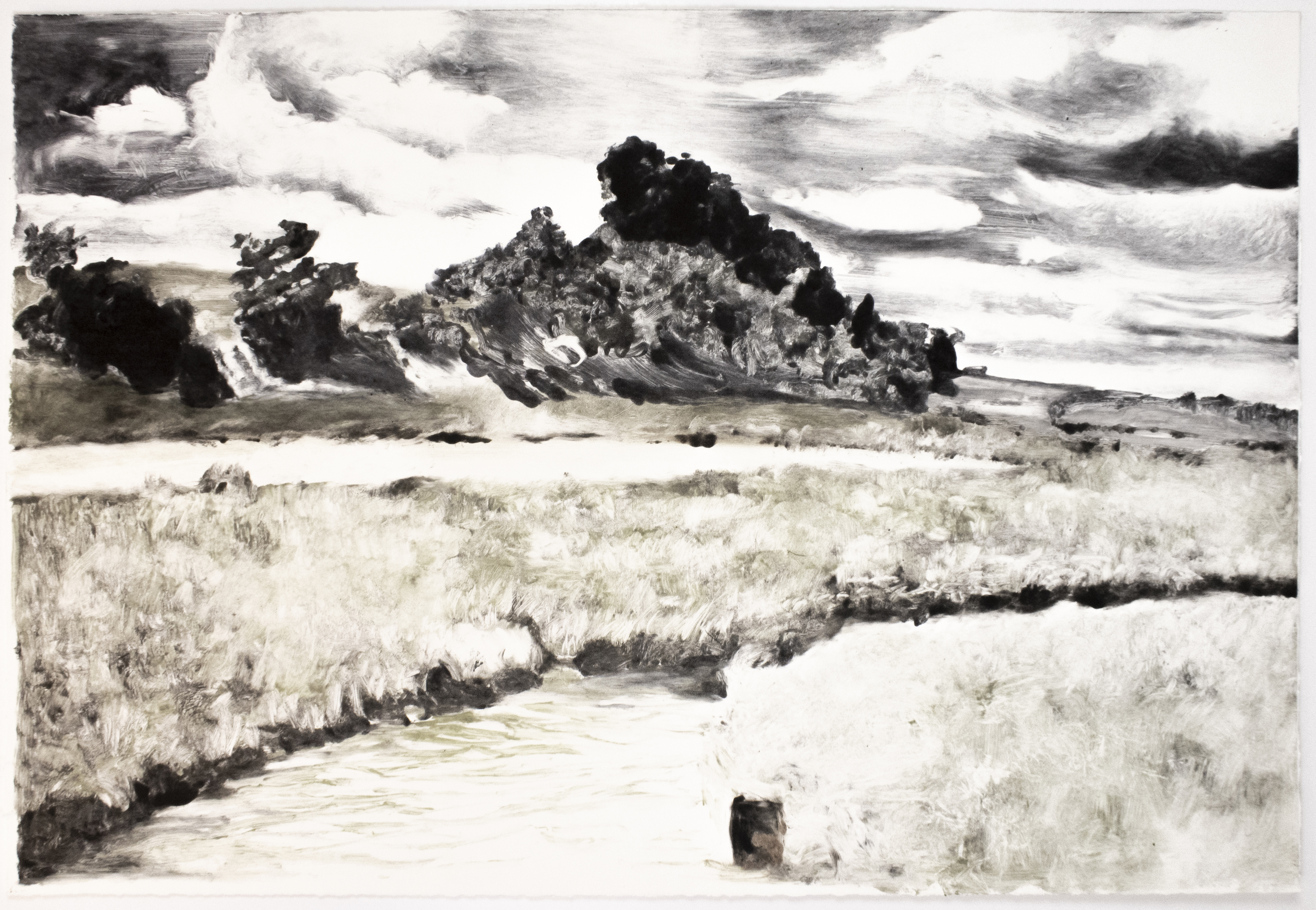 Landscape by Michele Zalopany