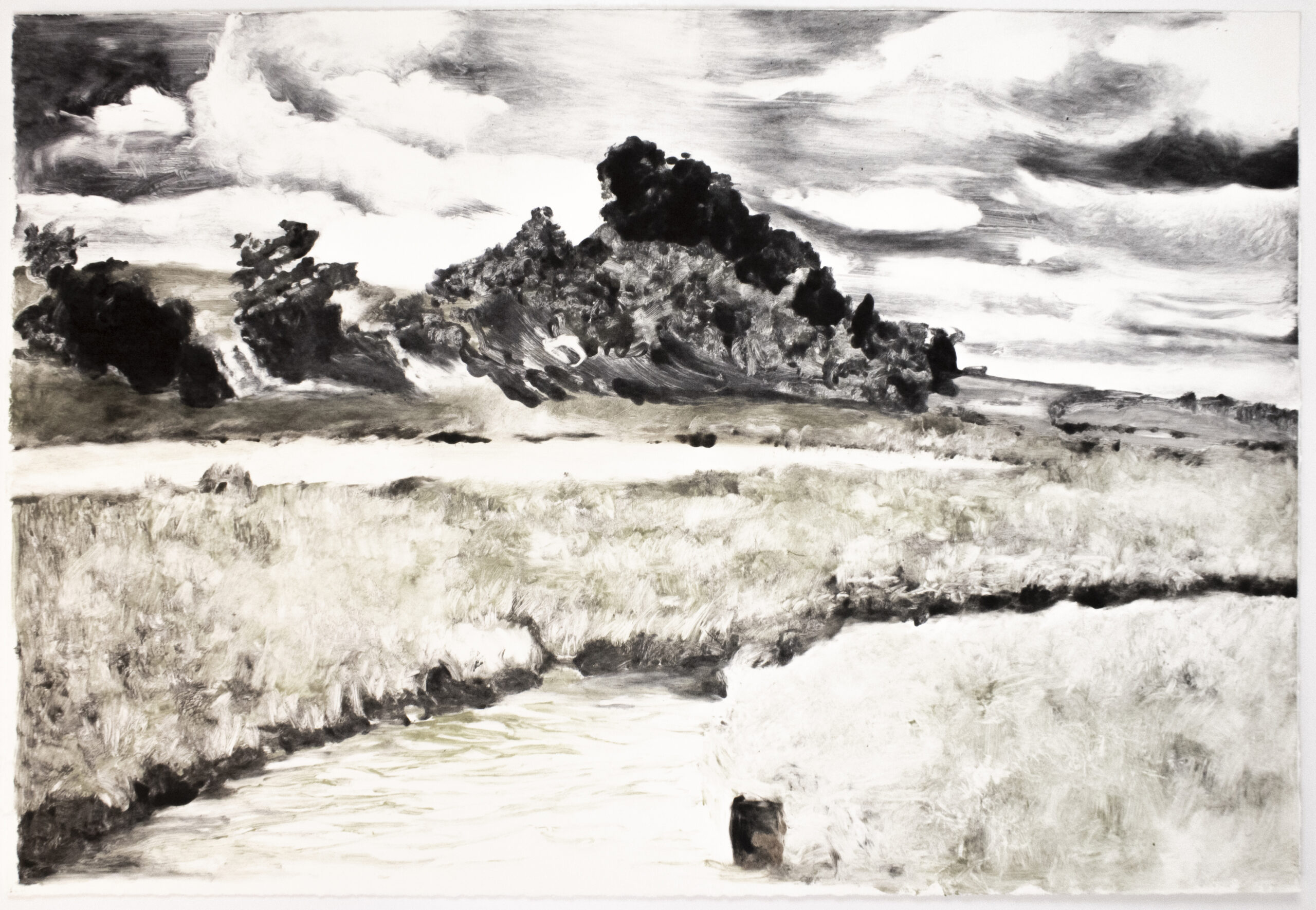Landscape by Michele Zalopany
